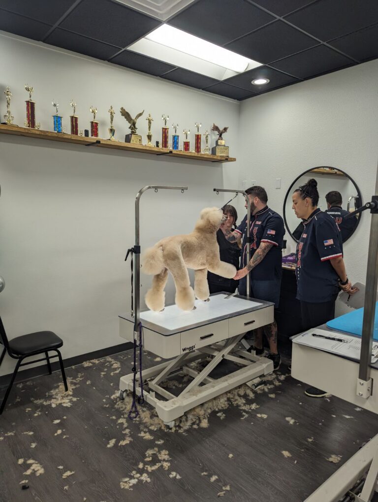 Canine Design Housecall Grooming - Lauren Lewis