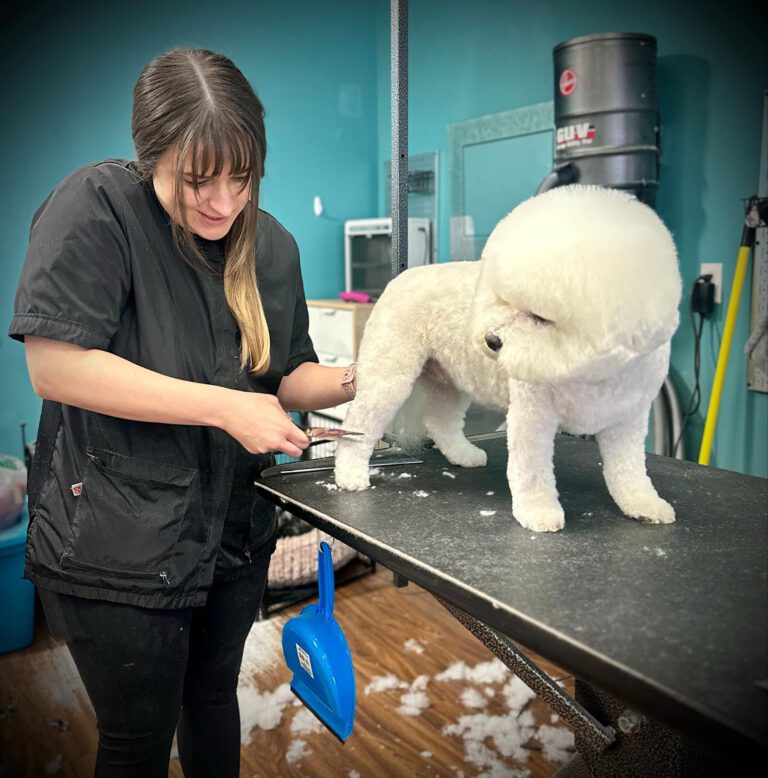 Canine Design Housecall Grooming - Lauren Lewis